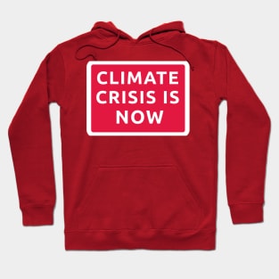 Climate Crisis is Now Earth Day Hoodie